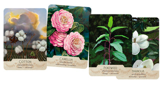 The NEW Southern Botanic Oracle