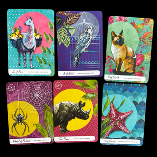 Wise Earth Medicine Tarot