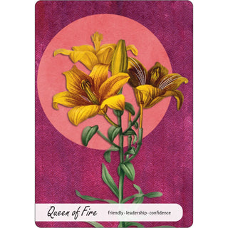 Wise Earth Medicine Tarot