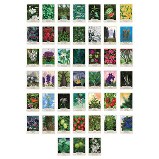 The Southern Botanic Oracle - La Panthère Studio