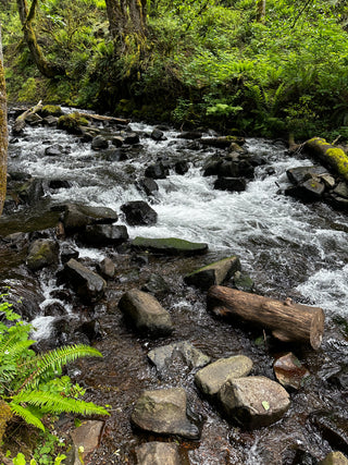 water flowing through a forest in portland oregon