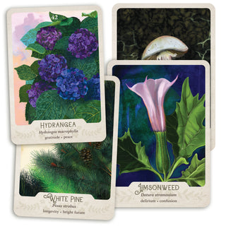 Oracle Decks