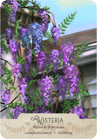Southern Botanic Oracle Deck – Reissued Edition