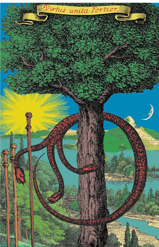 Tarot of the Holy Light - 2nd Edition Set 2016