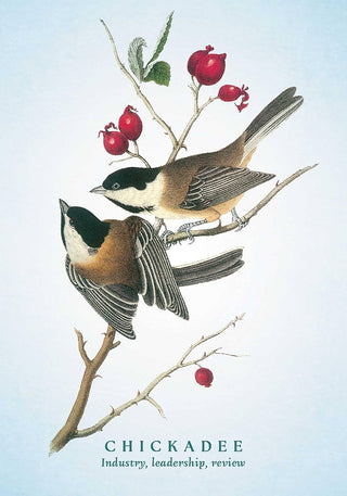 Spiritual Meaning of Birds Oracle