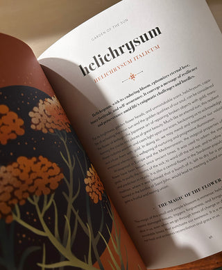 Flower Magic: The Secret Language of Flowers