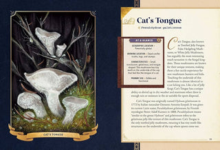 The Little Book of Mushrooms