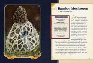 The Little Book of Mushrooms