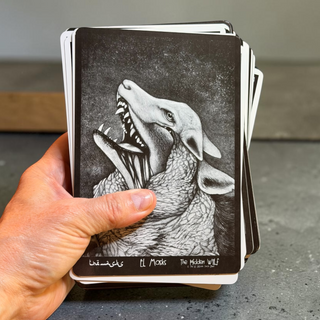 The El Goliath Tarot Deck Rare 1st Edition