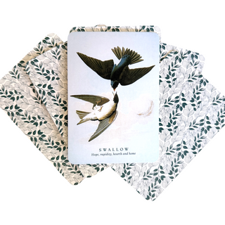 Spiritual Meaning of Birds Oracle