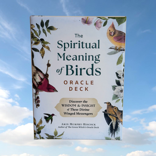 Spiritual Meaning of Birds Oracle