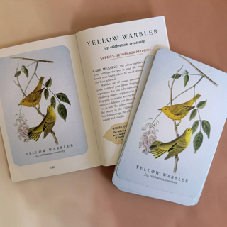 Spiritual Meaning of Birds Oracle