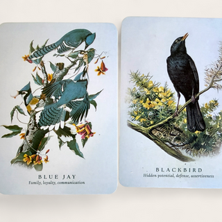 Spiritual Meaning of Birds Oracle