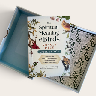 Spiritual Meaning of Birds Oracle