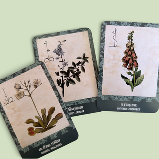 Poison Path Oracle