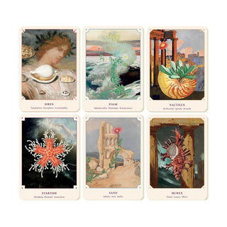 Gift Bundle: Mermaids & Seashells