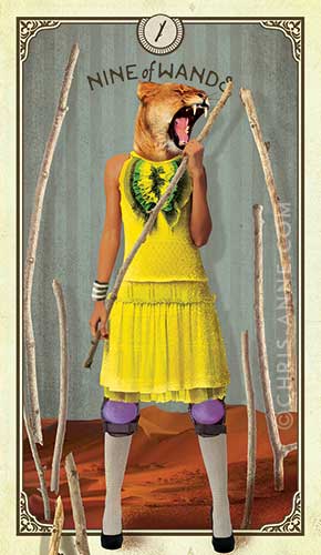 Tarot of Curious Creatures