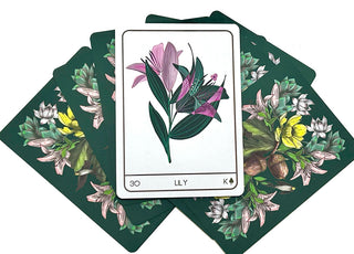 Terra Lenormand