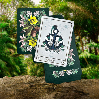 Terra Lenormand