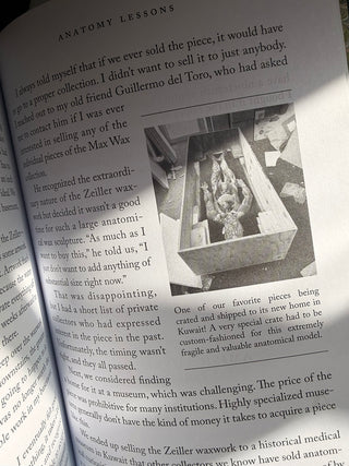 The Witch's Door: Oddities & Tales from the Esoteric to the Extreme