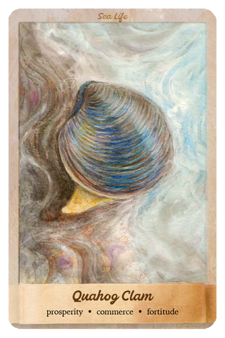 PRE-ORDER: Lantern Oracle "By Sea"